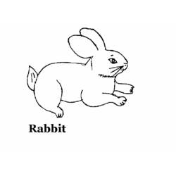 Раскраска: кролик (Животные) #9587 - Бесплатные раскраски для печати
