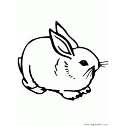 Раскраска: кролик (Животные) #9610 - Бесплатные раскраски для печати