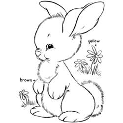 Раскраска: кролик (Животные) #9621 - Бесплатные раскраски для печати