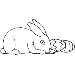 Раскраска: кролик (Животные) #9648 - Бесплатные раскраски для печати