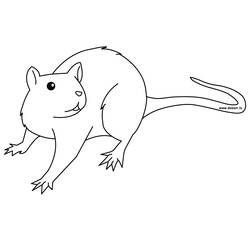 Раскраска: крыса (Животные) #15167 - Бесплатные раскраски для печати