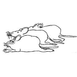 Раскраска: крыса (Животные) #15168 - Бесплатные раскраски для печати