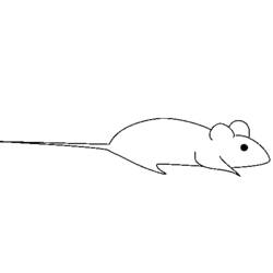Раскраска: крыса (Животные) #15187 - Бесплатные раскраски для печати