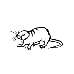 Раскраска: крыса (Животные) #15200 - Бесплатные раскраски для печати