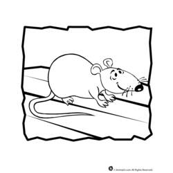 Раскраска: крыса (Животные) #15202 - Бесплатные раскраски для печати