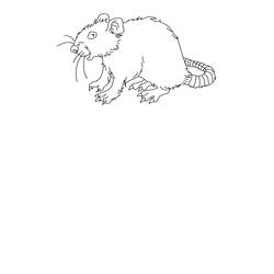 Раскраска: крыса (Животные) #15215 - Бесплатные раскраски для печати