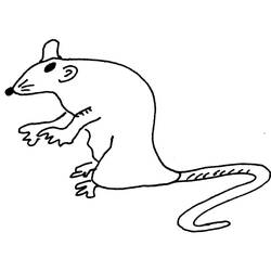 Раскраска: крыса (Животные) #15242 - Бесплатные раскраски для печати