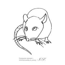 Раскраска: крыса (Животные) #15264 - Бесплатные раскраски для печати