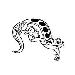 Раскраска: саламандра (Животные) #19891 - Бесплатные раскраски для печати