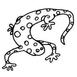 Раскраска: саламандра (Животные) #19895 - Бесплатные раскраски для печати