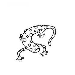 Раскраска: саламандра (Животные) #19905 - Бесплатные раскраски для печати