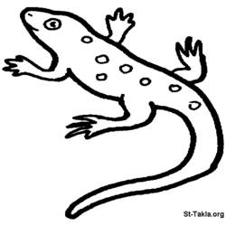 Раскраска: саламандра (Животные) #19911 - Бесплатные раскраски для печати