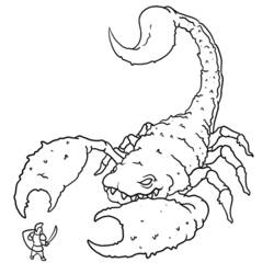 Раскраска: Скорпион (Животные) #14537 - Бесплатные раскраски для печати