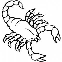 Раскраска: Скорпион (Животные) #14549 - Бесплатные раскраски для печати