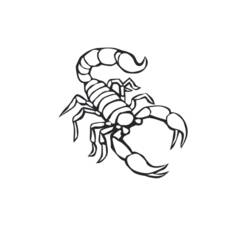 Раскраски: Скорпион - Бесплатные раскраски для печати