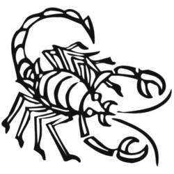 Раскраска: Скорпион (Животные) #14555 - Бесплатные раскраски для печати