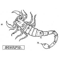 Раскраска: Скорпион (Животные) #14596 - Бесплатные раскраски для печати