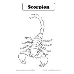 Раскраска: Скорпион (Животные) #14610 - Бесплатные раскраски для печати