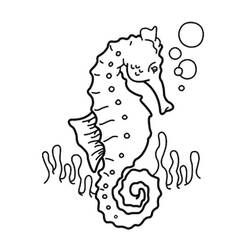Раскраска: морской конек (Животные) #18587 - Бесплатные раскраски для печати