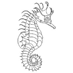 Раскраска: морской конек (Животные) #18601 - Бесплатные раскраски для печати