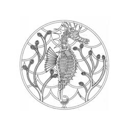 Раскраска: морской конек (Животные) #18618 - Бесплатные раскраски для печати