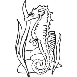 Раскраска: морской конек (Животные) #18632 - Бесплатные раскраски для печати