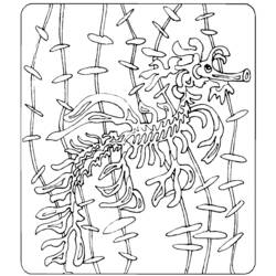 Раскраска: морской конек (Животные) #18652 - Бесплатные раскраски для печати