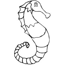 Раскраска: морской конек (Животные) #18653 - Бесплатные раскраски для печати