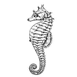 Раскраска: морской конек (Животные) #18660 - Бесплатные раскраски для печати
