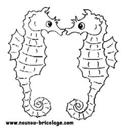 Раскраска: морской конек (Животные) #18670 - Бесплатные раскраски для печати