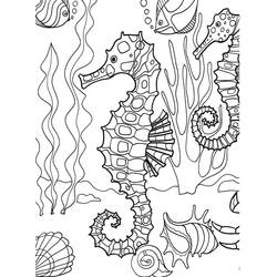 Раскраска: морской конек (Животные) #18718 - Бесплатные раскраски для печати