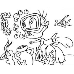 Раскраска: морской конек (Животные) #18726 - Бесплатные раскраски для печати