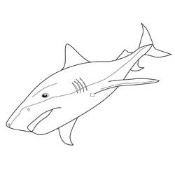 Раскраска: акула (Животные) #14764 - Бесплатные раскраски для печати