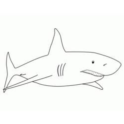 Раскраска: акула (Животные) #14766 - Бесплатные раскраски для печати