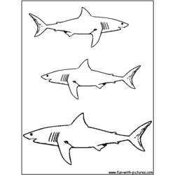 Раскраска: акула (Животные) #14776 - Бесплатные раскраски для печати