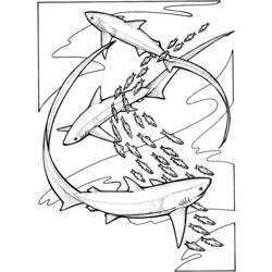 Раскраска: акула (Животные) #14801 - Бесплатные раскраски для печати