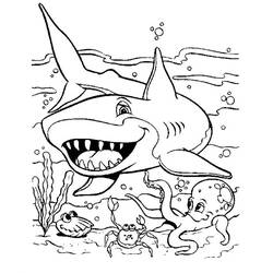 Раскраска: акула (Животные) #14802 - Бесплатные раскраски для печати