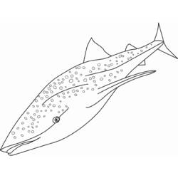 Раскраска: акула (Животные) #14808 - Бесплатные раскраски для печати