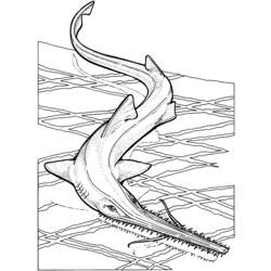 Раскраска: акула (Животные) #14819 - Бесплатные раскраски для печати