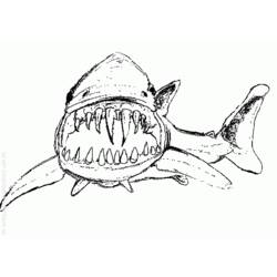 Раскраска: акула (Животные) #14857 - Бесплатные раскраски для печати
