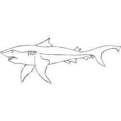 Раскраска: акула (Животные) #14860 - Бесплатные раскраски для печати