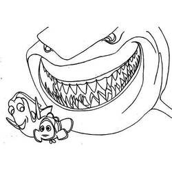 Раскраска: акула (Животные) #14931 - Бесплатные раскраски для печати