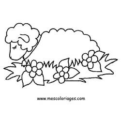 Раскраска: овца (Животные) #11391 - Бесплатные раскраски для печати