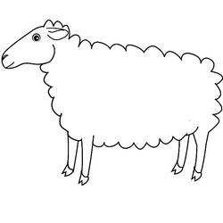 Раскраска: овца (Животные) #11402 - Бесплатные раскраски для печати