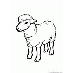 Раскраска: овца (Животные) #11409 - Бесплатные раскраски для печати