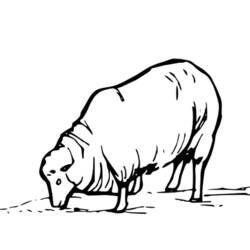 Раскраска: овца (Животные) #11410 - Бесплатные раскраски для печати