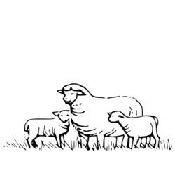 Раскраска: овца (Животные) #11415 - Бесплатные раскраски для печати