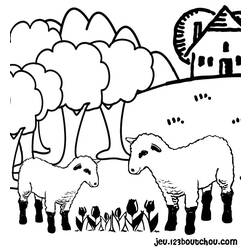 Раскраска: овца (Животные) #11416 - Бесплатные раскраски для печати