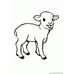 Раскраска: овца (Животные) #11427 - Бесплатные раскраски для печати
