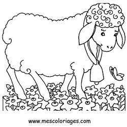 Раскраска: овца (Животные) #11429 - Бесплатные раскраски для печати